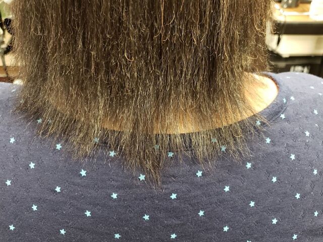Ogle School Hair Skin Nails-Arlington - a world-class school Ogle School Hair Skin Nails-Arlington - a world-class school
