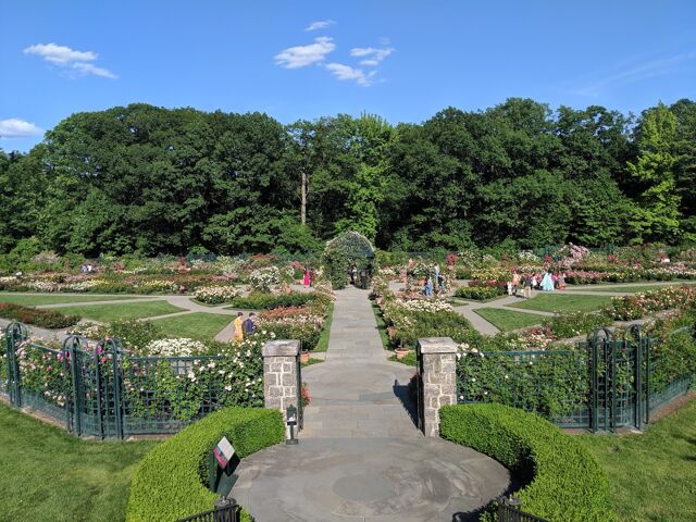 Нью -Йоркский ботанический сад школа профессионального садоводства